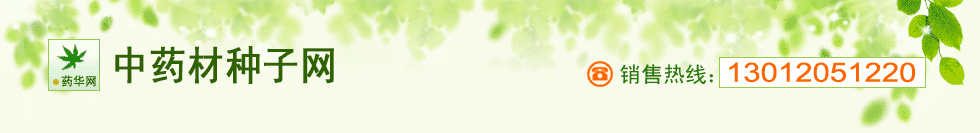 中药材种子网-售药材种子-中药材种子-中药材种子网
