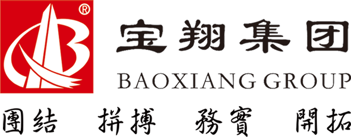 宝翔集团 - 安徽宝翔建设集团有限责任公司