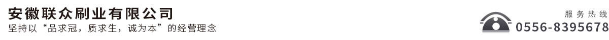 安徽联众刷业有限公司