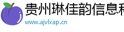 贵州琳佳韵信息科技有限公司