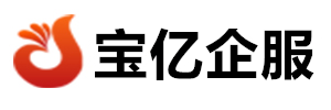 宝亿企服 - 您的专业企业服务合作伙伴