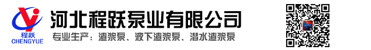 渣浆泵_ZJ渣浆泵_ZGB渣浆泵_高扬程渣浆泵_液下渣浆泵厂家_潜水渣浆泵_河北渣浆泵-河北程跃泵业有限公司