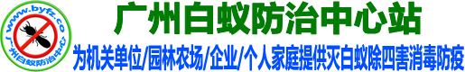 广州白蚁防治中心电话_广州白蚁防治所电话_广州灭白蚁防治公司_广州灭白蚁灭老鼠除四害消毒防疫站