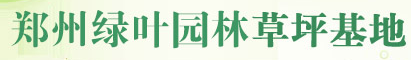 郑州草坪基地|中牟草坪基地|河南草坪基地-郑州绿鹏园林13783418107【官网】
