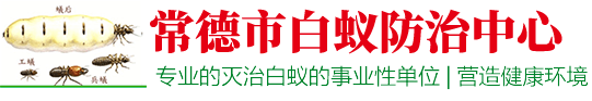 常德市白蚁防治中心【官网】手机：15581028252