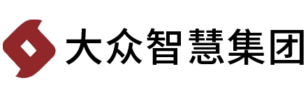 大众智慧集团有限公司
