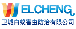 东莞南城白蚁防治|万江白蚁防治|东城白蚁防治-虎门长安沙田灭白蚁公司
