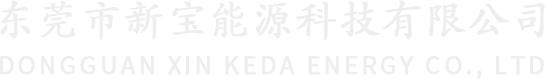 锂电池组_低温锂电池_聚合物电池组-东莞市新宝能源科技有限公司