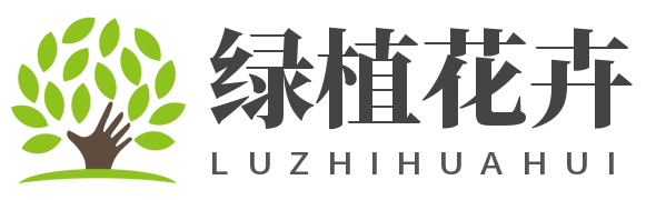 常见绿植花卉如何种植,植物百科,花卉寓意_迪奥克绿植花卉