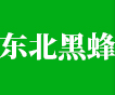 东北黑蜂蜜_饶河黑蜂蜜_椴树蜜-饶河县邹氏东北黑蜂产品有限公司道外分公司