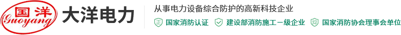 大洋电力科技集团有限公司