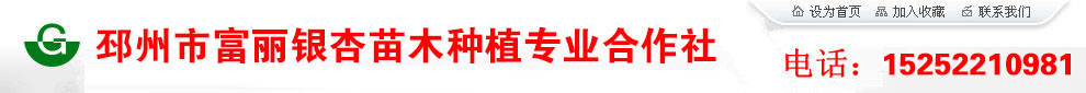 海棠价格-合欢-国槐-樱花-法桐-银杏树-美国红枫价格-邳州市富丽银杏苗木