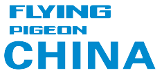 飞鸽官方网站