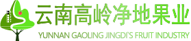 云南高岭净地果业有限责任公司