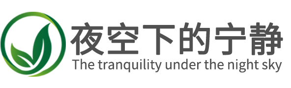 夜空下的宁静-个人博客