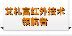 艾礼富安防科技有限公司-艾礼富安防
