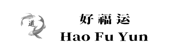 开运术高功静烎道长-转运改运玄学大师父