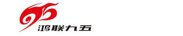 河南鸿联九五