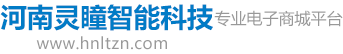 河南灵瞳智能科技有限公司