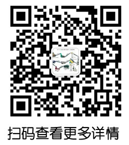 有机肥设备-有机肥生产线 - 有机肥设备-有机肥生产线-硕冠机械设备