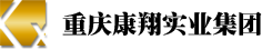 渝中区重庆康翔实业集团有限公司公开招聘考试公示