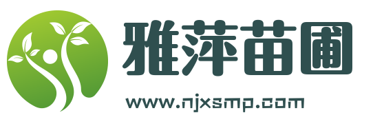 雪松-雪松价格-雪松小苗-大型雪松基地「南京雅萍苗圃场」