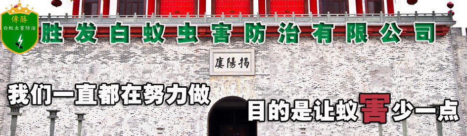 普宁白蚁防治,普宁白蚁预防,惠来白蚁防治-普宁胜发灭白蚁公司