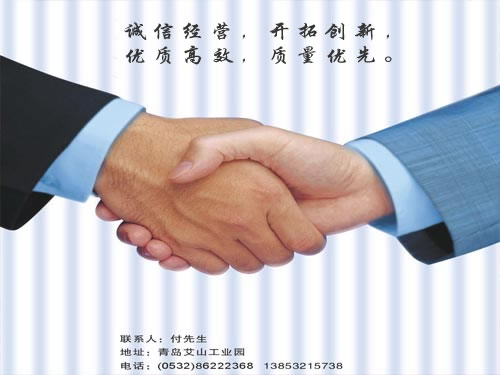 青岛荷兰砖_青岛透水砖_青岛草坪砖-青岛利盟新型建材有限公司