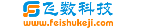 石家庄做网站公司_网站建设_做网站网站制作公司-飞数科技