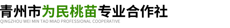 青州市为民桃苗专业合作社-主营山东晚熟桃苗_桃苗批发_新品种桃苗