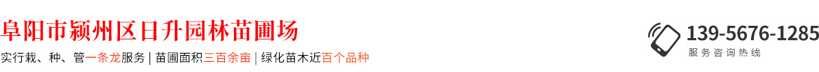 阜阳市颍州区日升园林苗圃场