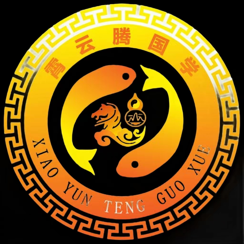 霄云腾国学排盘工具官网