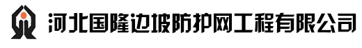环形网_被动环形网_GPS2主动防护网_RX-050被动防护网_河北国隆边坡防护网工程有限公司