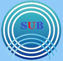 萨博海洋-绿色、安全、可靠