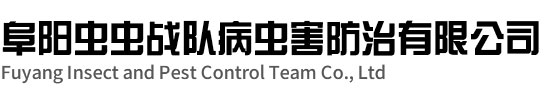阜阳杀虫灭鼠-阜阳除四害公司-消杀公司-阜阳虫虫战队病虫害防治有限公司