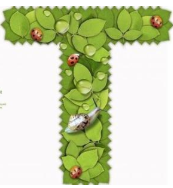 天作国际中心-欢迎访问！