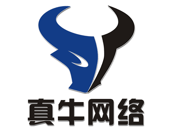 真牛网络-互联网服务专家-真牛网络服务欢迎您