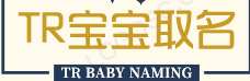 TR宝宝取名 - 优秀的宝宝名字大全网站