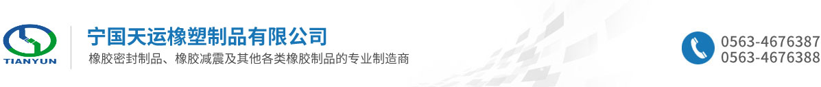 宁国天运橡塑制品有限公司
