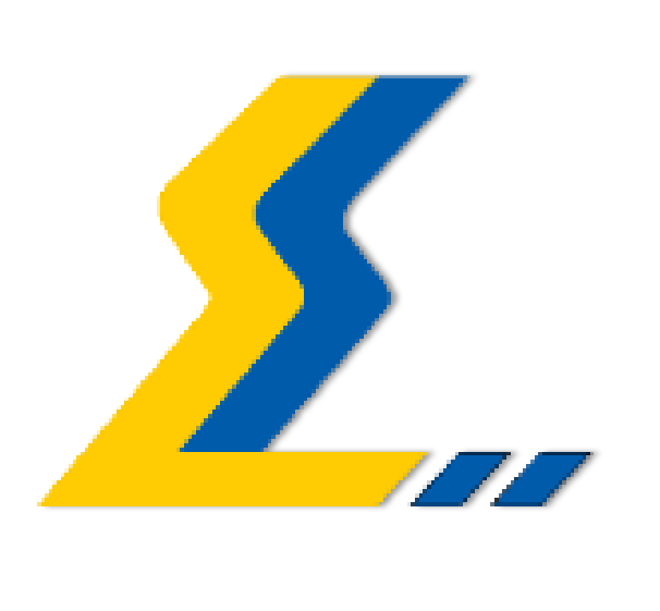 胜利科技-政务领域专业服务企业