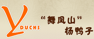 南充市名特正宗杨鸭子（舞凤山杨家联杨鸭子），味道巴适