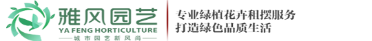 西安绿植租摆,西安花卉租摆,西安绿植租赁,绿植租摆,绿植租赁,办公室绿植租摆—西安雅风绿植租摆
