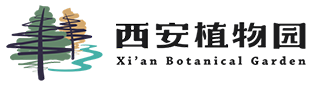 陕西省西安植物园 陕西省植物研究所