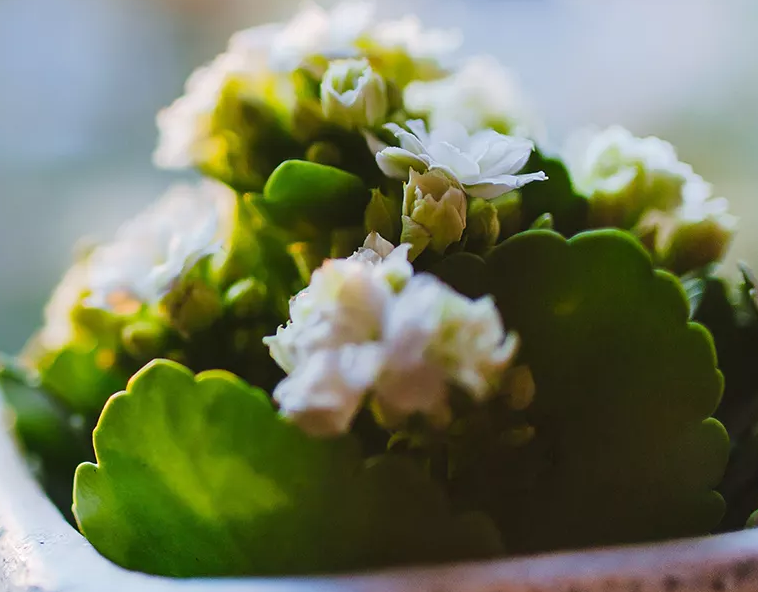 张家港市星帮尼环保科技有限公司-环境影响评估