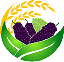 贵州好桑粮农业发展有限公司