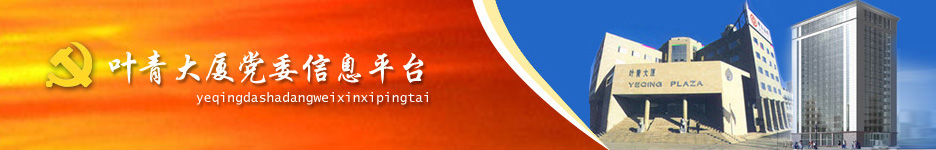 叶青大厦党委信息平台