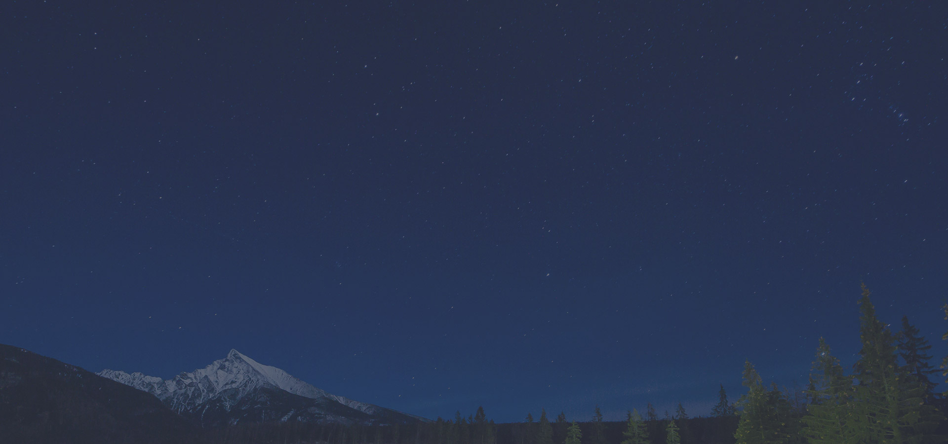 登录_阿里SSP流量变现平台