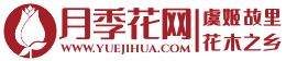 月季花网-树状藤本大花苗-月季知识分享网站-月季苗批发基地
