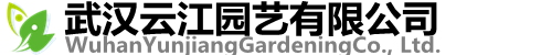 武汉花卉租赁绿植租摆武汉办公绿植租赁，武汉室内盆栽租摆，武汉绿植花卉销售，武汉室内鲜花绿植