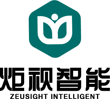 智能识别算法_系统平台架构_智能分析设备_安徽炬视科技有限公司